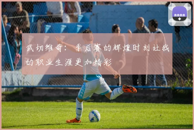 武切维奇：季后赛的辉煌时刻让我的职业生涯更加精彩